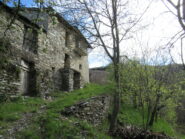 Bavi