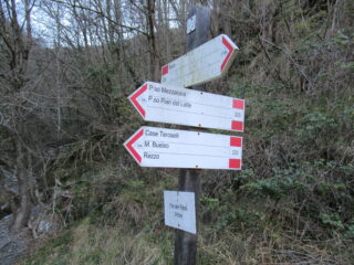 Palina alla partenza