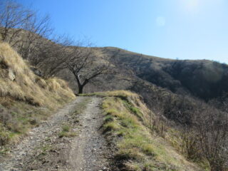 La sterrata che porta verso il costone del Monte Prearba