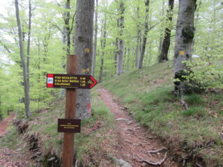 Sul costone di discesa molto ben segnato.