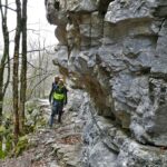 In salita nella faggeta della Valler Fua.