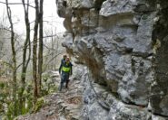 In salita nella faggeta della Valler Fua.