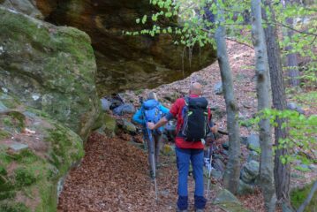 Primo tratto nel bosco. Speriamo che il roccione stia su...
