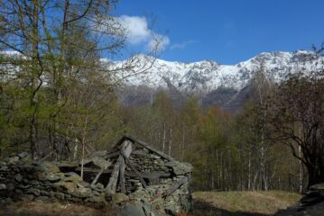 Uscendo dal bosco il panorama si allarga