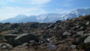 Gias dei Laghi