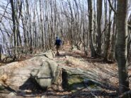 Discesa nel bosco lato est (Serra di Biel).