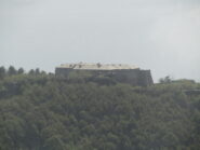 forte begato