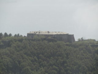 forte begato
