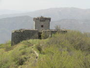 forte fratello minore