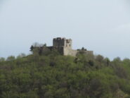 forte puin