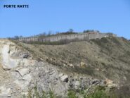forte ratti