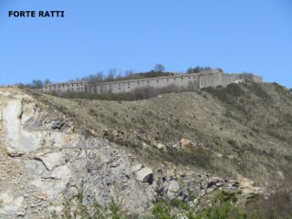 forte ratti