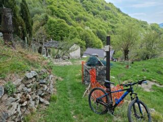 Alpe Capraio