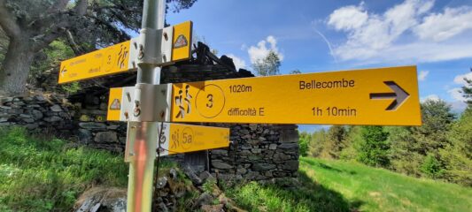Bivio 3 5a