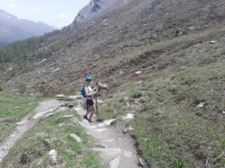 Scontro tra cavrones