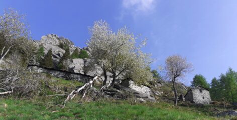 Alpeggi Corniele