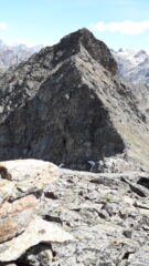 dalla Henry alle spalle la Conge..