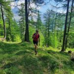 Vallone boscoso nella parte iniziale