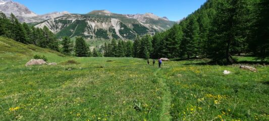 Nella parte bassa del Vallone des Vaches