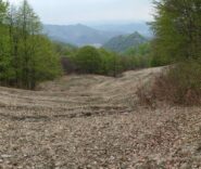 La discesa a valle verso Pino, con un sentiero non visibile in foto, ma presente e ben calpestato da altri appassionati.