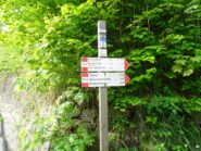 la palina alla partenza