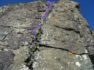 arrampicata in fessura...