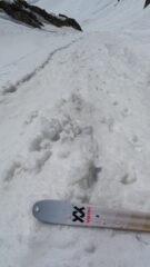 In discesa su neve 