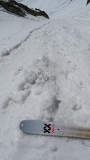 In discesa su neve 
