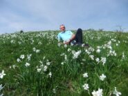 Tra i narcisi in fiore