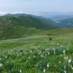 Pian della Speranza dal Croce dei Fo'