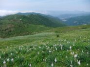 Pian della Speranza dal Croce dei Fo'