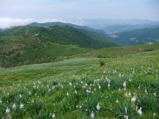 Pian della Speranza dal Croce dei Fo'