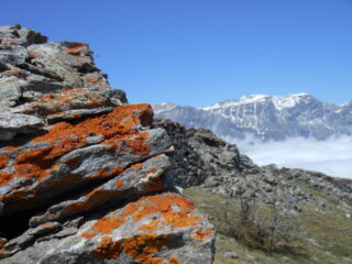 Memorie di sangue in Testa all'Assietta