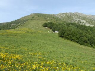Sella Morteis