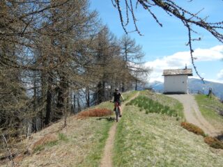 Madonna del Cotolivier 2104 m.