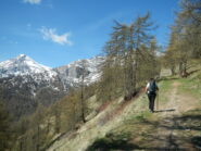 oltre il Colletto Pourachet