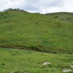 Scendendo alla sella Pian della Speranza con il monte Croce dei Fò sulla destra