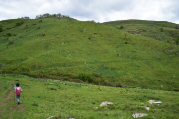 Scendendo alla sella Pian della Speranza con il monte Croce dei Fò sulla destra