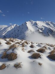Dalla Cima Saler verso Cima Loit