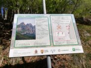 Cartello all'attacco