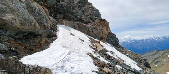 unico nevaietto 