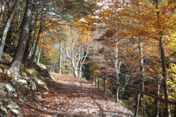 Salita alla Stretta di Fleons