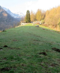 Longimala