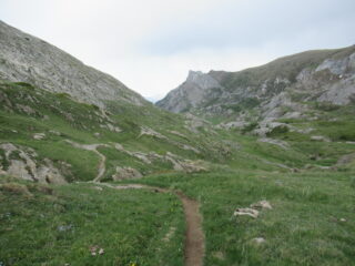 Discesa Vallone di Carnino