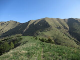 Passo della Lecca (m.1515)