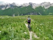 Splendida fioritura nei prati sopra Larche.