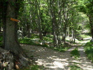 Il bivio alla partenza