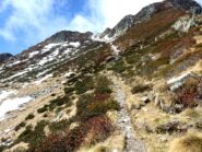 Sul sentiero, poco prima del canalino che porta in cresta.
