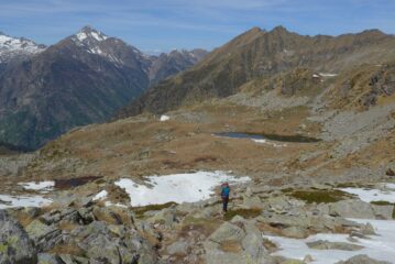 Quasi al colle della Mologna Grande