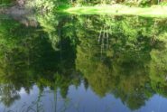 Riflessi nel laghetto delle Rane